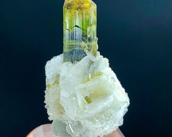 Natural Bicolor Tourmaline Crystal with Cleavelandite Albite, Tourmaline Specimen, Raw Mineral, Tourmaline Gemstone - 40 CT