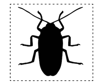 Silhouet kakkerlak | Kakkerlak gesneden bestanden | Svg-bestand | Sticker | Sticker | Digitale download | Svg-bestanden voor Cricut | Afdrukbaar | Clipart |
