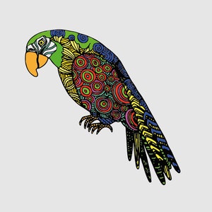 Parrot Svg | Parrot Png | Colorful Parrot | Digital File | Logo Print | Svg For Cricut | Instant Download | Cut File | Clipart | Printable |