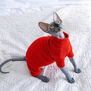 Turtleneck Jumpsuit Cat Sphynx - Cat/Dog Clothes