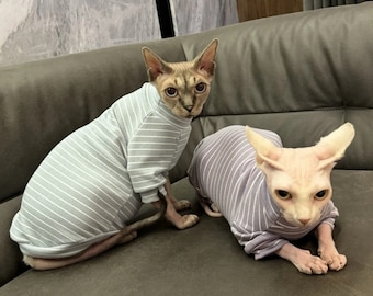 Pull pour chat à ressort léger - Vêtements pour chat Sphynx