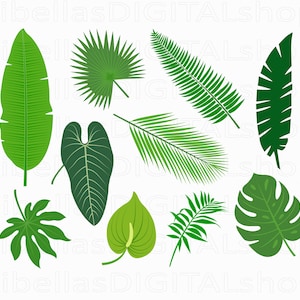 Exotic Tropical Leaves Printables - Jungle Botanical Greenery - Instant Download SVG PNG