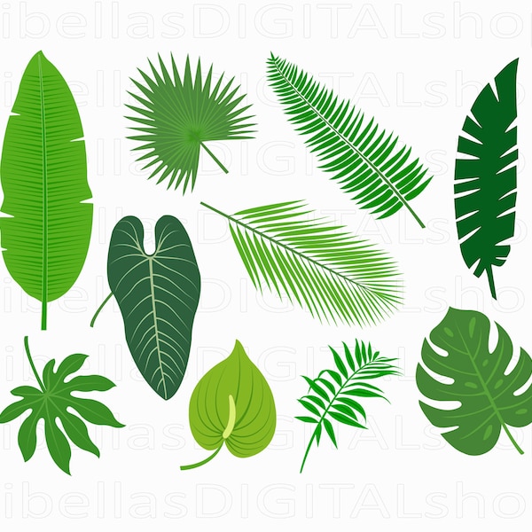 Exotic Tropical Leaves Printables - Jungle Botanical Greenery - Instant Download SVG PNG