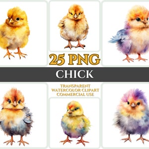 Aquarel Chick Clipart Majestic Yellow Bird Fly Bundle Sublimation PNG Abstract Feather Lovely Cardmaking Craft Digital Printable WallArt
