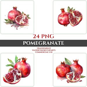Granatapfel Clipart PNG Aquarell Obst Set Transparent Digitales Bild kommerzielle Nutzung Aufkleber Transparent Sublimation Schneidebrett Print Art