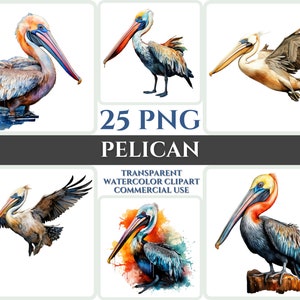 Acquerello Pelican Clipart Majestic Colorful Bird Fly Bundle Sublimazione PNG Piuma astratta Adorabile Cardmaking Digital Printable Art