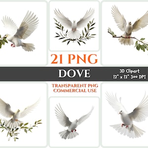 3D Dove PNG Set White Dove Clipart Realistic Dove Gift For Baptism Holy Spirit Digital Printable Wall Art Transparent Spiritual 3D Wall Art