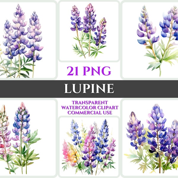 Lupine Watercolor - Etsy