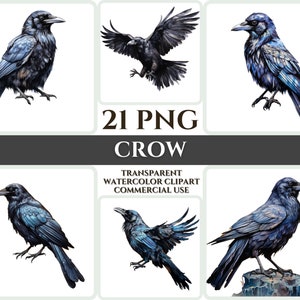 Aquarel Crow Clipart Majestic Black Bird Fly Bundle Sublimation PNG Abstract Feather Lovely Cardmaking Craft Digital Printable WallArt