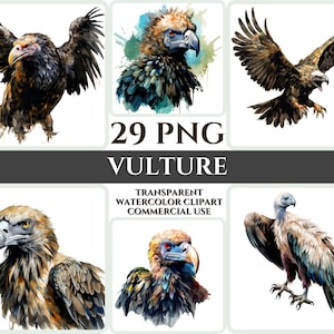 Acquerello Vulture Clipart Majestic Black Bird Fly Bundle Sublimazione PNG Piuma astratta Bella Cardmaking Craft Digital Printable WallArt