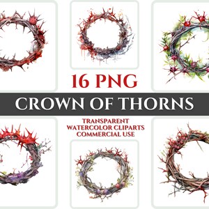 Corona di spine Clipart PNG Acquerello Bundle Christian Clipart Set Thorns Immagine digitale Bibbia trasparente Clipart Sticker Card Wallart