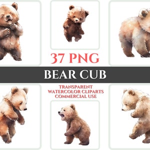 Watercolor Baby Bear Clipart Cute Bear PNG Bundle Bear Wallart Nursery Digital Clipart Bear Cub Wall Decor Transparent Watercolor Clipart