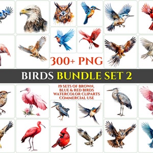 Aquarel vogel clipart bundel set 2 majestueuze bruin blauw rode vogel vliegen sublimatie PNG abstracte veer mooie kaart maken ambachtelijke afdrukbare kunst
