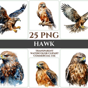 Aquarel Hawk Clipart Majestic Brown Bird Fly Bundle Sublimation PNG Abstract Feather Lovely Cardmaking Craft Digital Printable WallArt