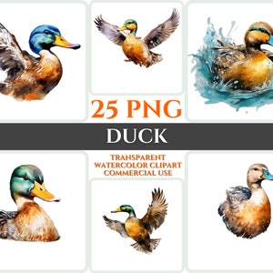 Aquarel eend clipart majestueuze kleurrijke vogel vlieg bundel sublimatie PNG abstracte veer mooie kaart maken ambachtelijke digitale afdrukbare WallArt