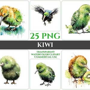 Aquarel Kiwi Clipart Majestueuze Kleurrijke Bird Fly Bundel Sublimatie PNG Abstract Feather Schattig Cardmaking Craft Digital Printable Art