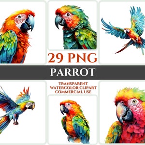 Aquarel papegaai clipart majestueuze kleurrijke vogel vlieg bundel sublimatie PNG abstracte veer schattige kaart maken digitale afdrukbare kunst