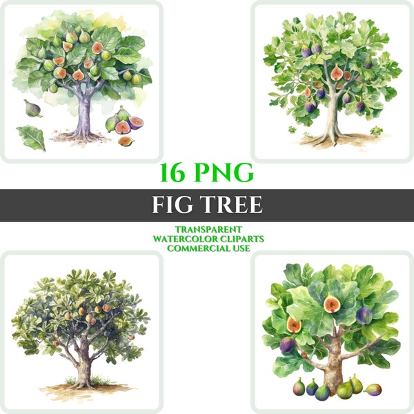 Fig Tree Clipart PNG Watercolor Set Transparent Digital Image Commercial Use Sticker Photo Card Transparent Illustration Cuttingboard Print