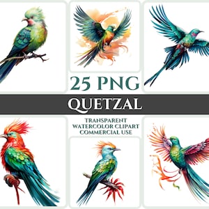 Aquarel Quetzal clipart majestueuze kleurrijke vogel vliegen bundel sublimatie PNG abstracte veer mooie kaart maken ambachtelijke digitale afdrukbare kunst