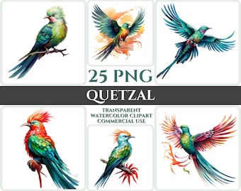 Watercolor Quetzal Clipart Majestic Colorful Bird Fly Bundle Sublimation PNG Abstract Feather Lovely Cardmaking Craft Digital Printable Art