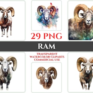 Watercolor Ram Clipart Bundle Wallart PNG Ram Gift For Craft Digital Clipart Ram Wall Decor Transparent Watercolor Clipart Living Room Decor