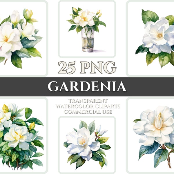 Watercolor Gardenia Clipart PNG Flower Blossom Image Romantic File Sublimation Wallart Digital Wedding Bouquet Colorful Vibrant Floral Art