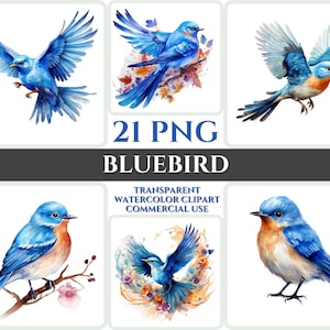 Aquarel Bluebird Clipart Majestic Blue Bird Fly Bundel Sublimatie PNG Abstract Feather Schattig Cardmaking Craft Digital Printable Art