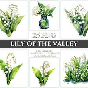 Aquarelle Muguet Clipart PNG Fleur Fleur Image Romantique Fichier Sublimation Wallart Digital Mariage Bouquet Coloré Art Floral