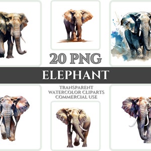 Aquarell Elefant Clipart Bundle Wallart PNG Elefant für Handwerk digitale Clipart Tier Wand-Dekor transparente Aquarell Clipart Dekor Art