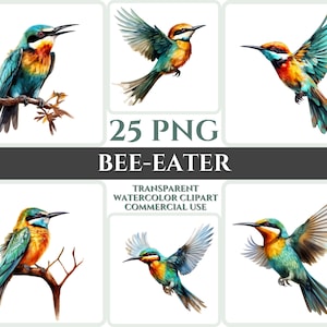Aquarel BeeEater Clipart Majestic Kleurrijke Bird Fly Bundel Sublimatie PNG Abstract Feather Lovely Cardmaking Craft Digital Printable Art