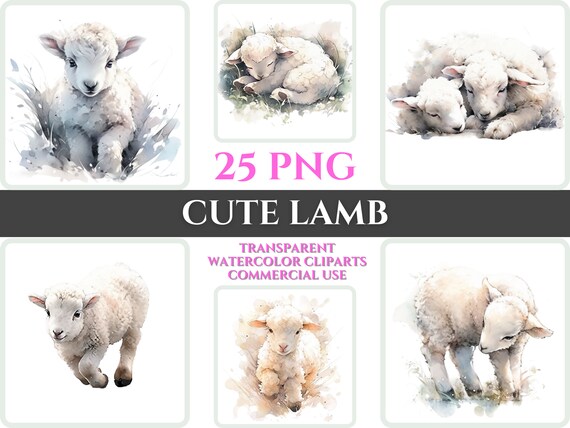 Watercolor Lamb Clipart Bundle, Cute Nursery Art (Digital Download)