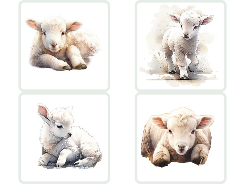 Puede incluir: Cuatro ilustraciones de acuarela de adorables corderos blancos. Cada cordero se representa en una postura diferente, uno acostado, otro de pie y dos sentados. Las ilustraciones est&aacute;n sobre un fondo blanco.
