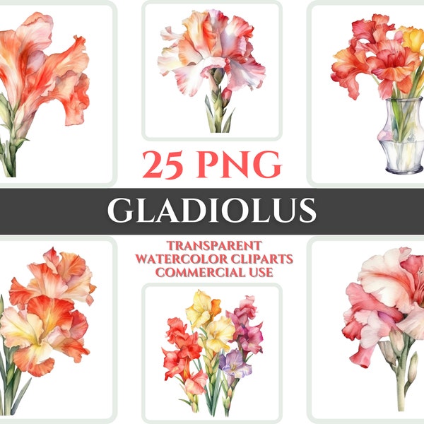 Watercolor Gladiolus Clipart PNG Flower Blossom Image Romantic File Sublimation Wallart Digital Wedding Bouquet Colorful Vibrant Floral Art