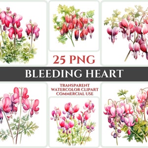 Aquarelle coeur saignant Clipart PNG fleur fleur Image romantique fichier Sublimation Wallart numérique mariage Bouquet coloré vibrant Floral