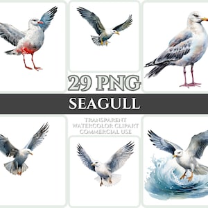 Aquarel Seagull Clipart Majestic White Bird Fly Bundle Sublimation PNG Abstract Feather Lovely Cardmaking Craft Digital Printable WallArt