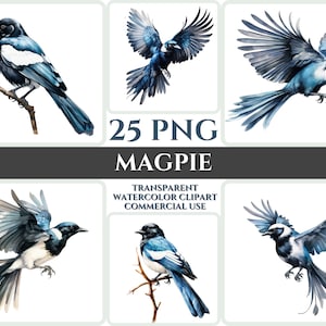 Aquarelle pie Clipart majestueux coloré oiseau mouche Bundle Sublimation PNG abstrait plume Adorable carterie artisanat numérique Art imprimable