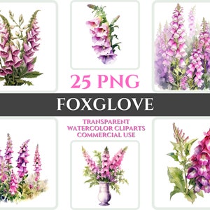 Aquarell Fingerhut Clipart PNG Blume Blüte Bild Romantische Datei Sublimation Wallart Digitale Hochzeit Bouquet Bunte Lebendige Blumenkunst