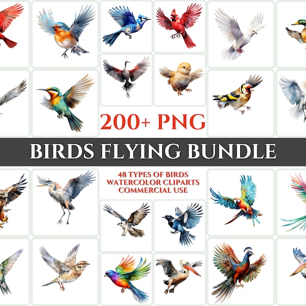 Vogel fliegen Aquarell Clipart Bundle majestätisch bunte Vögel fliegen PNG Feder schöne Cardmaking Handwerk druckbare Wandkunst digitaler Download