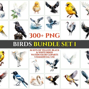 Aquarel vogel clipart bundel set 1 majestueuze zwart wit geel vlieg sublimatie PNG abstracte veer mooie kaart maken ambachtelijke afdrukbare kunst