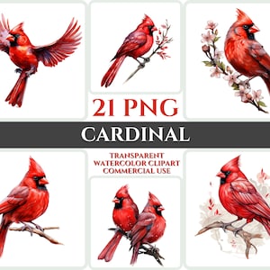 Aquarel Kardinaal Clipart Majestueuze Rode Vogel Vliegende Bundel Sublimatie PNG Abstracte Veer Schattig Kaartmaken Leuke Digitale Afdrukbare Kunst