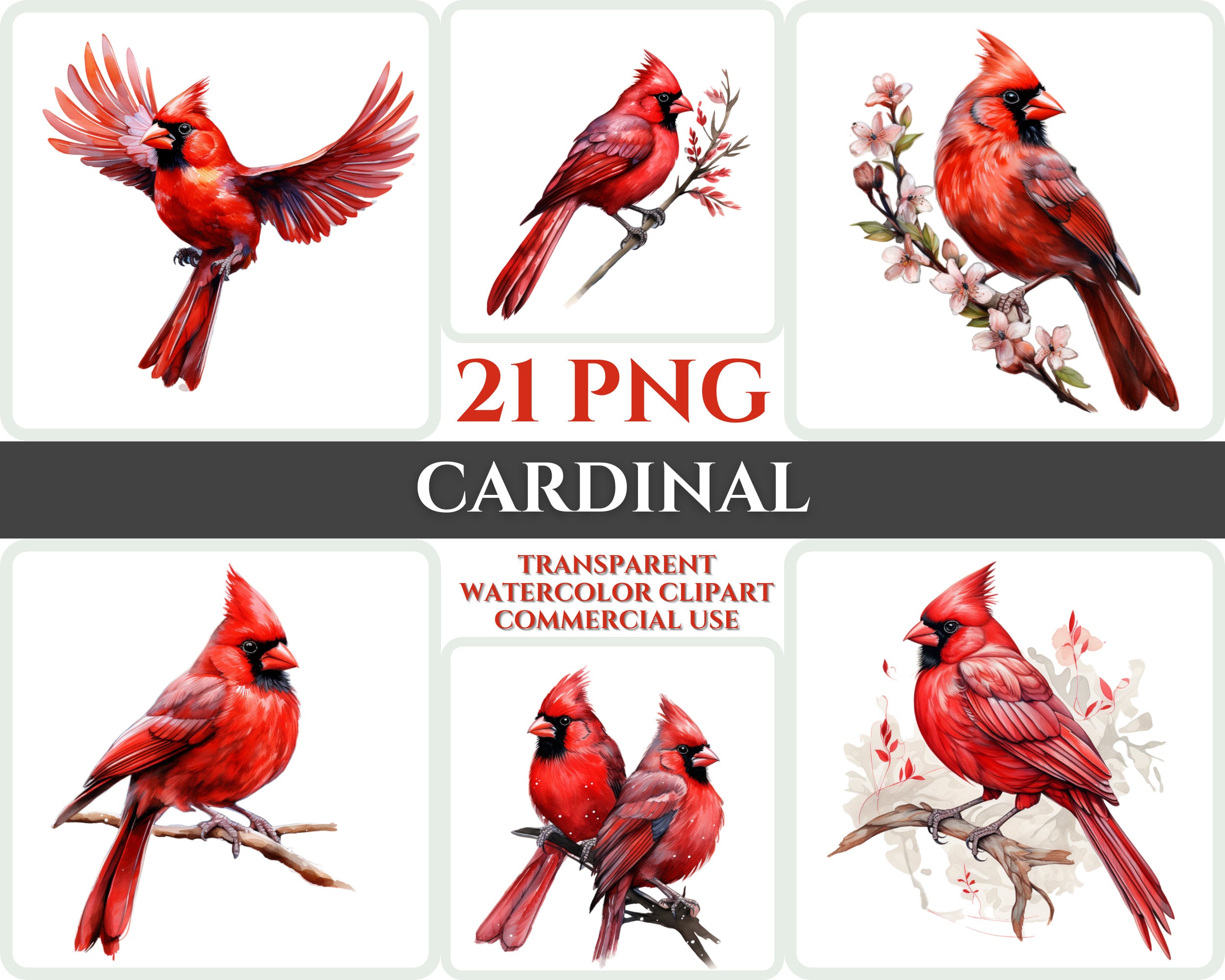 Watercolor Cardinal Clipart Bundle – Majestic Red Bird PNGs for Sublimation, Cardmaking and Printables