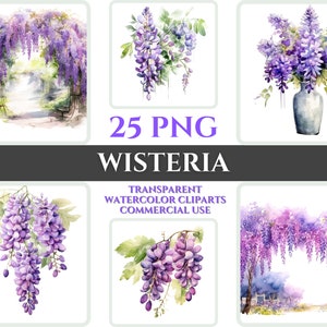 Acuarela Wisteria Clipart PNG Flor Flor Imagen Archivo Romántico Sublimación Wallart Digital Boda Ramo Colorido Vibrante Arte Floral