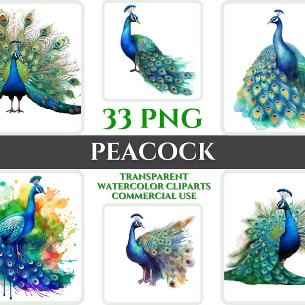 Watercolor Peacock Clipart Bundle Peacock PNG Peacock Gift For Nursery Digital Clipart Peacock Wall Decor Transparent Watercolor Clipart Kid