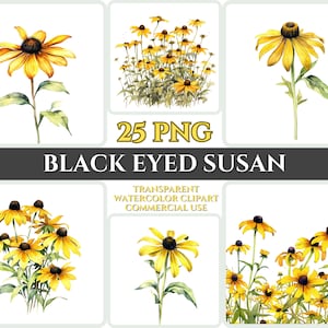 Akwarela Czarnooka Susan Clipart PNG Kwiat Kwitnący Obraz Romantyczny Plik Sublimacja Wallart Cyfrowy Bukiet Ślubny Kolorowa Sztuka Kwiatowa