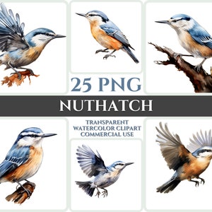 Aquarel Boomklever Clipart Majestic Blue Bird Fly Bundle Sublimation PNG Abstract Feather Lovely Cardmaking Craft Digital Printable WallArt