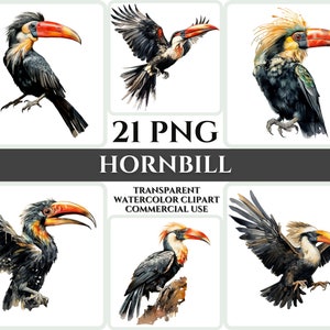 Aquarel neushoornvogel clipart majestueuze zwarte vogel vliegen bundel sublimatie PNG abstracte veer mooie kaart maken ambachtelijke digitale afdrukbare kunst