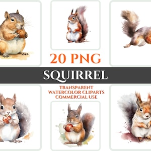 Aquarelle écureuil Clipart Bundle écureuil PNG cadeau pour pépinière Clipart numérique écureuil Wall Decor Transparent aquarelle Clipart Kid Art