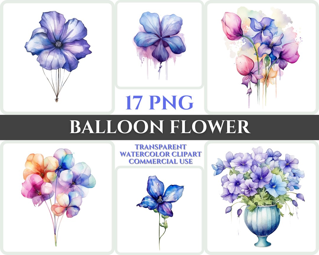 Watercolor Balloon Flower Clipart PNG Flower Blossom Image Romantic