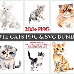 Uroczy koci pyszczek Zestaw Uroczy kociak Wydrukuj Clipart Cyfrowe rzemiosło Zwierzę SVG Miłośnik zwierząt Rasa Akwarela PNG Ilustracja Pomysł na prezent Sztuka