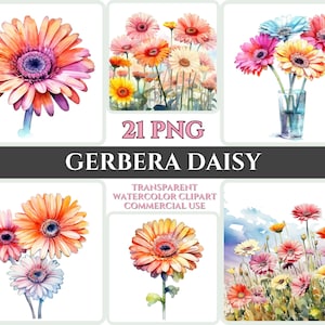 Akwarela Gerbera Daisy Clipart PNG Kwiat Kwitnący Obraz Romantyczny Plik Sublimacja Wallart Cyfrowy Bukiet Ślubny Kolorowy Żywy Kwiatowy